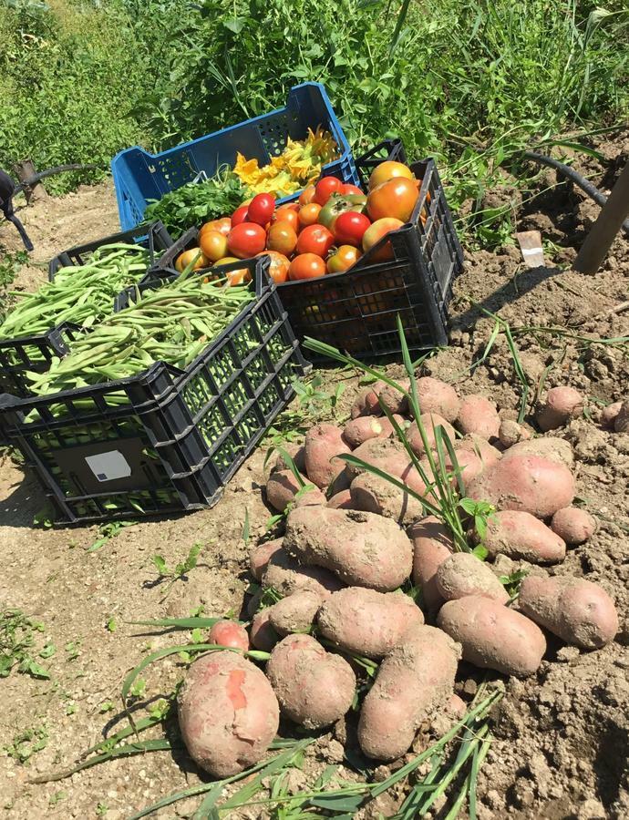 Agriturismo Carrozzino Sersale Luaran gambar